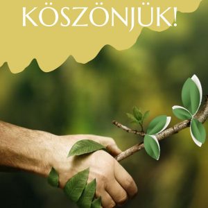 Egyszeri támogatás