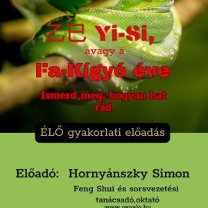 乙巳 Yi-Si, avagy a Fa-Kígyó éve – gyakorlati előadás