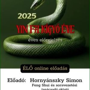 乙巳 Yi-Si, avagy a Fa-Kígyó éve