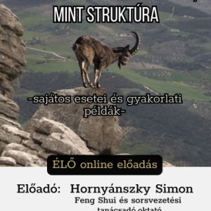 Társ és a Gazdagságrabló mint Struktúra